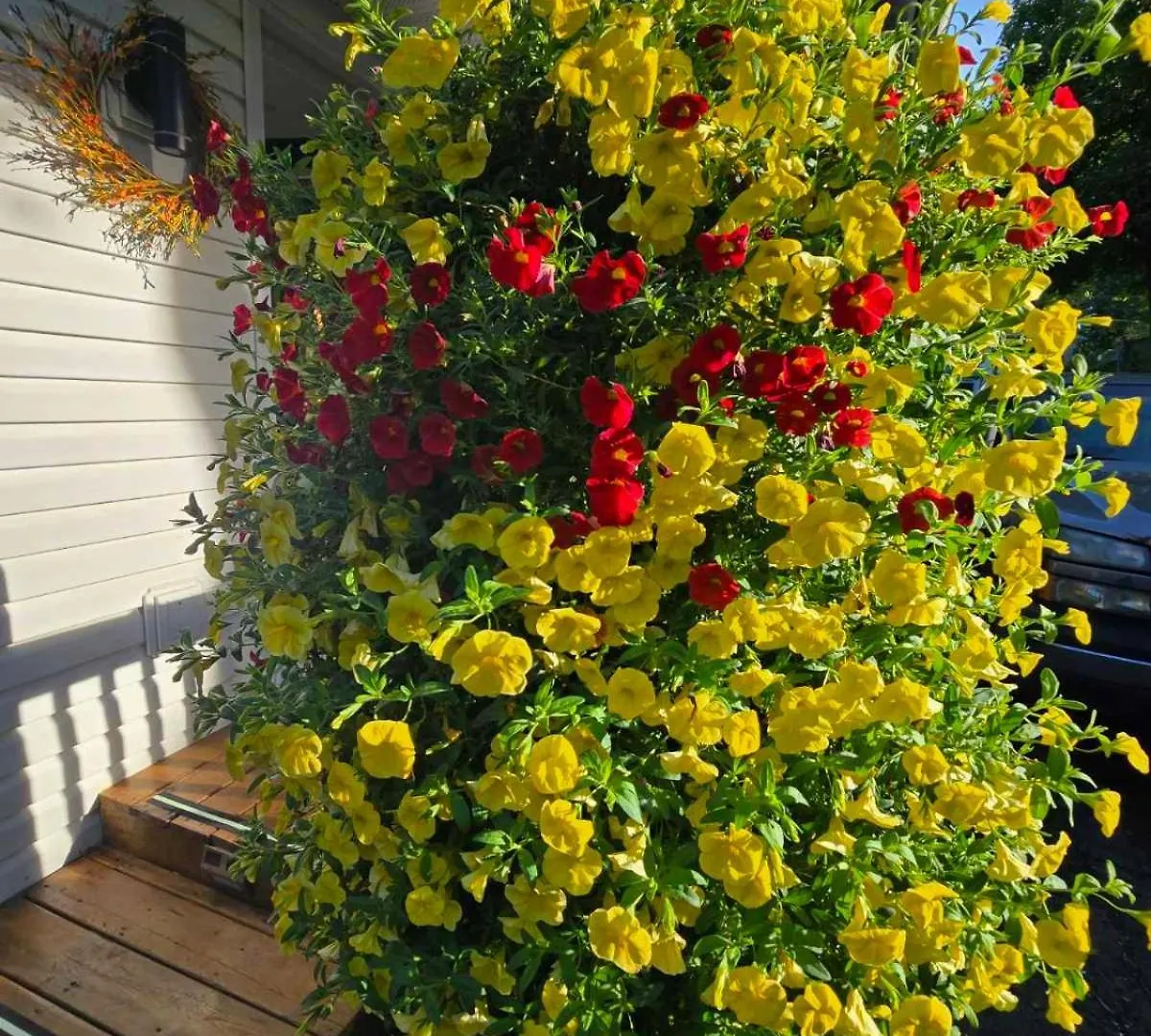 Serenity Inn Niagara Falls